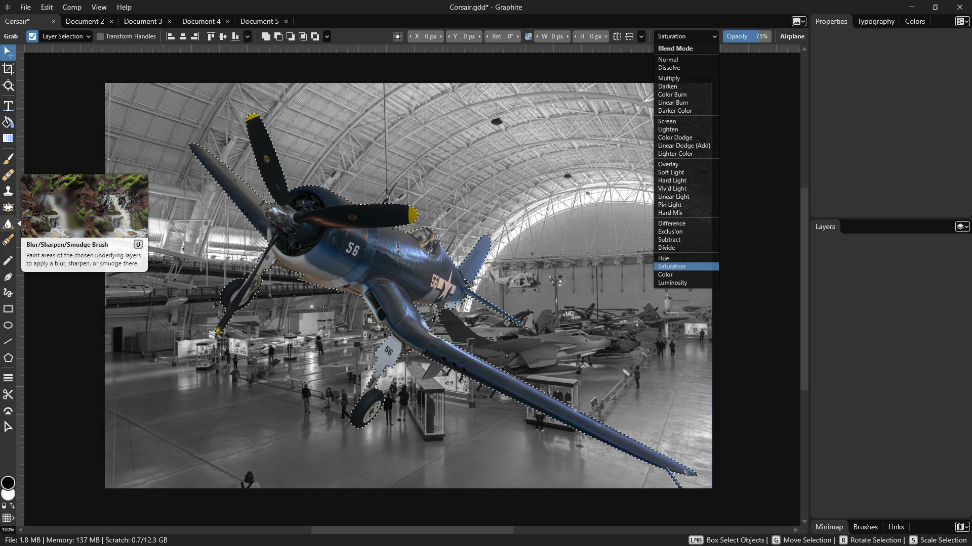 Interactive viewport